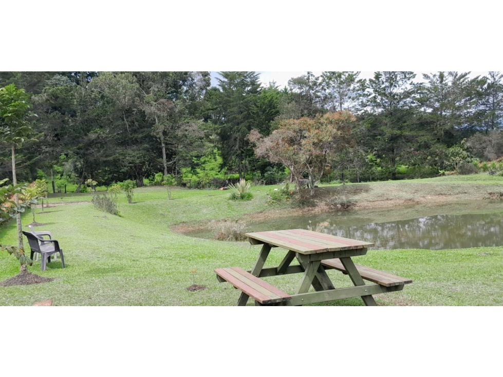Oportunidad Venta Lote Parcelación Guatapé Antioquia — foto 5