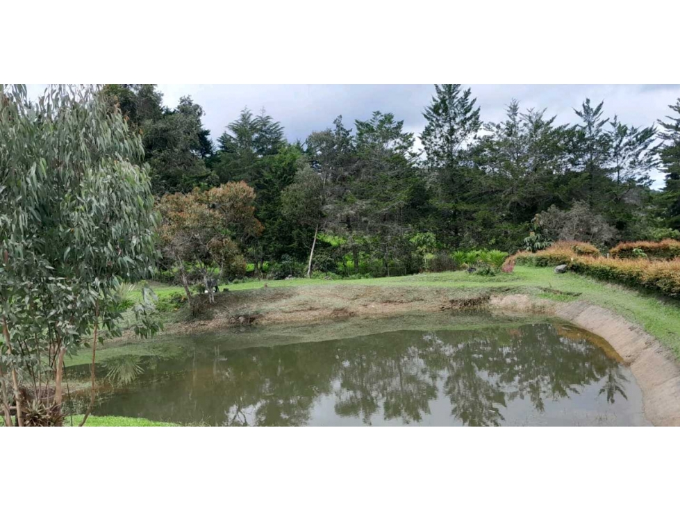 Oportunidad Venta Lote Parcelación Guatapé Antioquia — foto 6