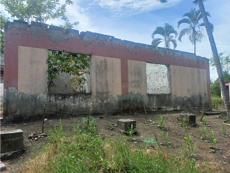 ORTEGA - 2
