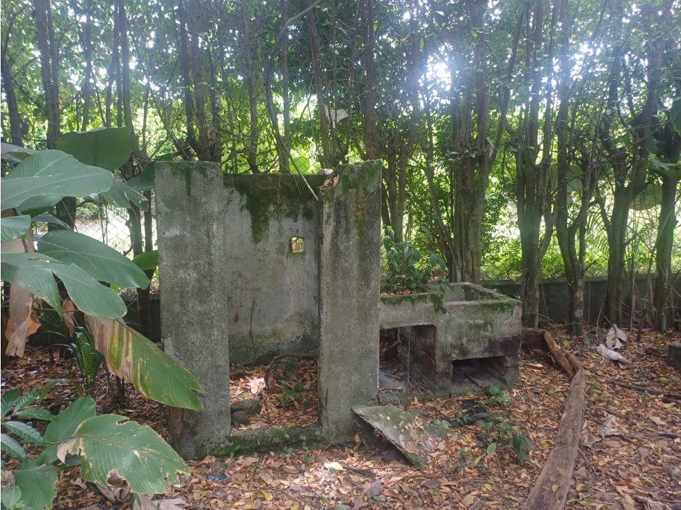 ORTEGA - 4