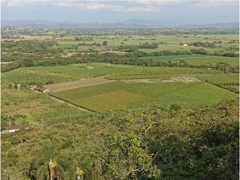 PARAJE SAN JUANITO - 1