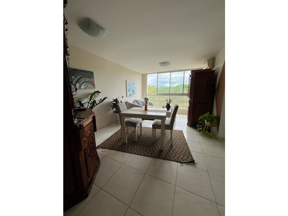 PH MC GREGOR VALLEY | CONDADO DEL REY | 2 RECÁMARAS | $110,000 (C.P) — foto 4