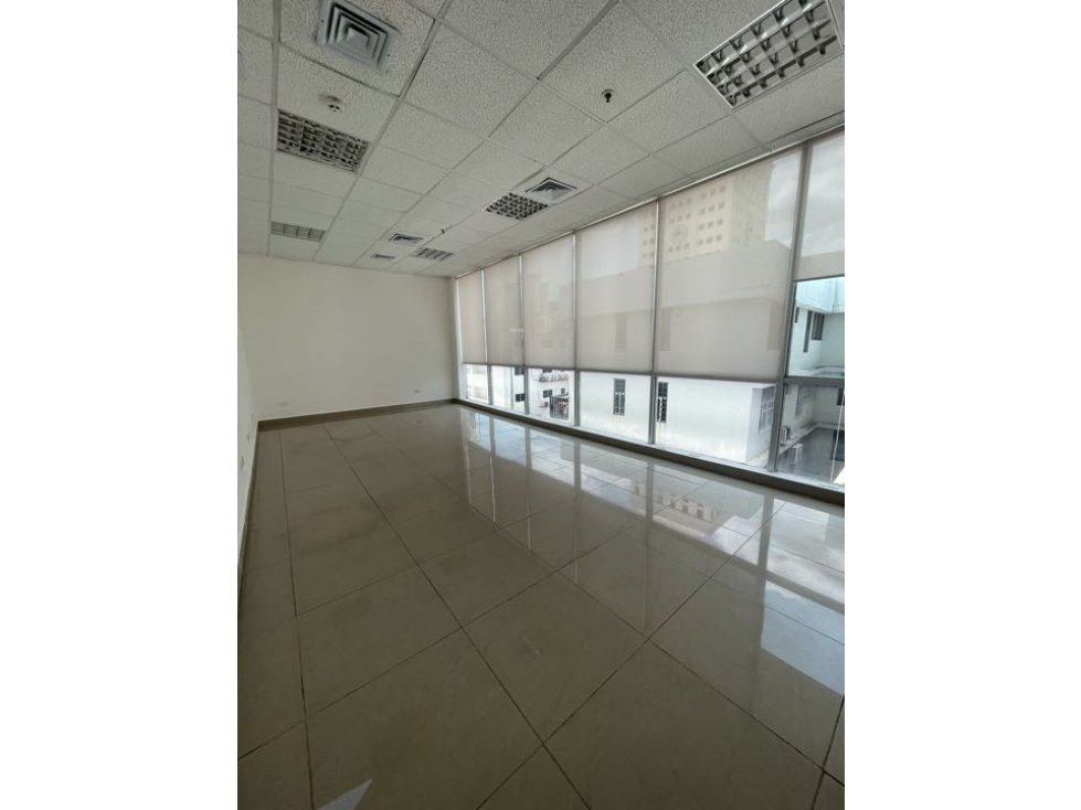 EL CARMEN /OFICINAS Y LOCALES/ ALQUILER - 3