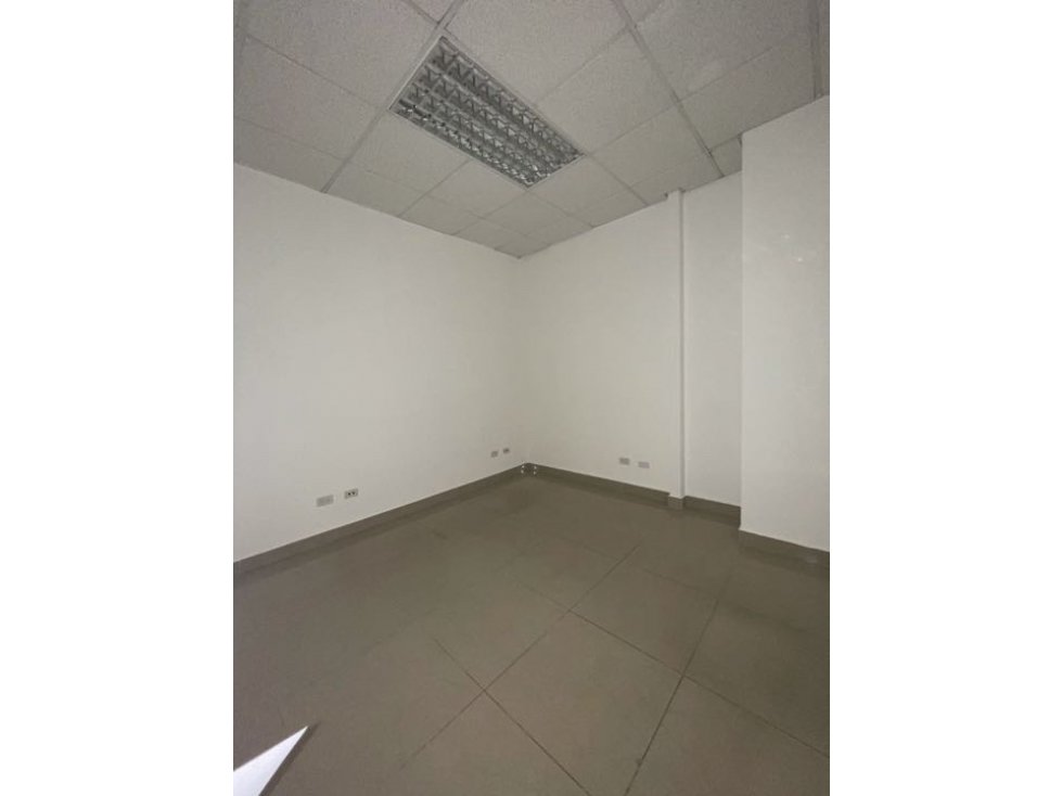 EL CARMEN /OFICINAS Y LOCALES/ ALQUILER - 5