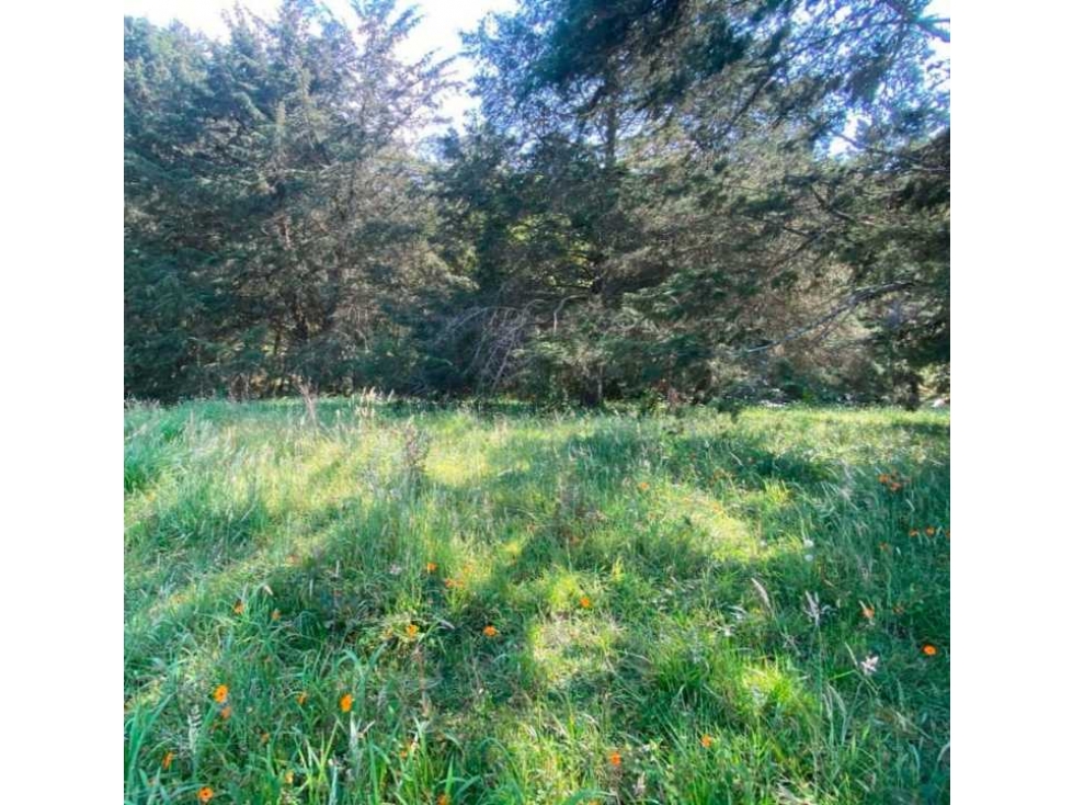 Pontezuela el lote más hermoso,30.150 m2 , cerca al crucero — foto 2