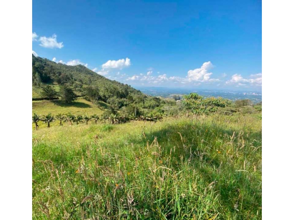 Pontezuela el lote más hermoso,30.150 m2 , cerca al crucero — foto 3