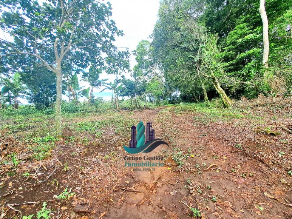 POTRERILLO ARRIBA, INCREÍBLE FINCA EN VENTA - 1