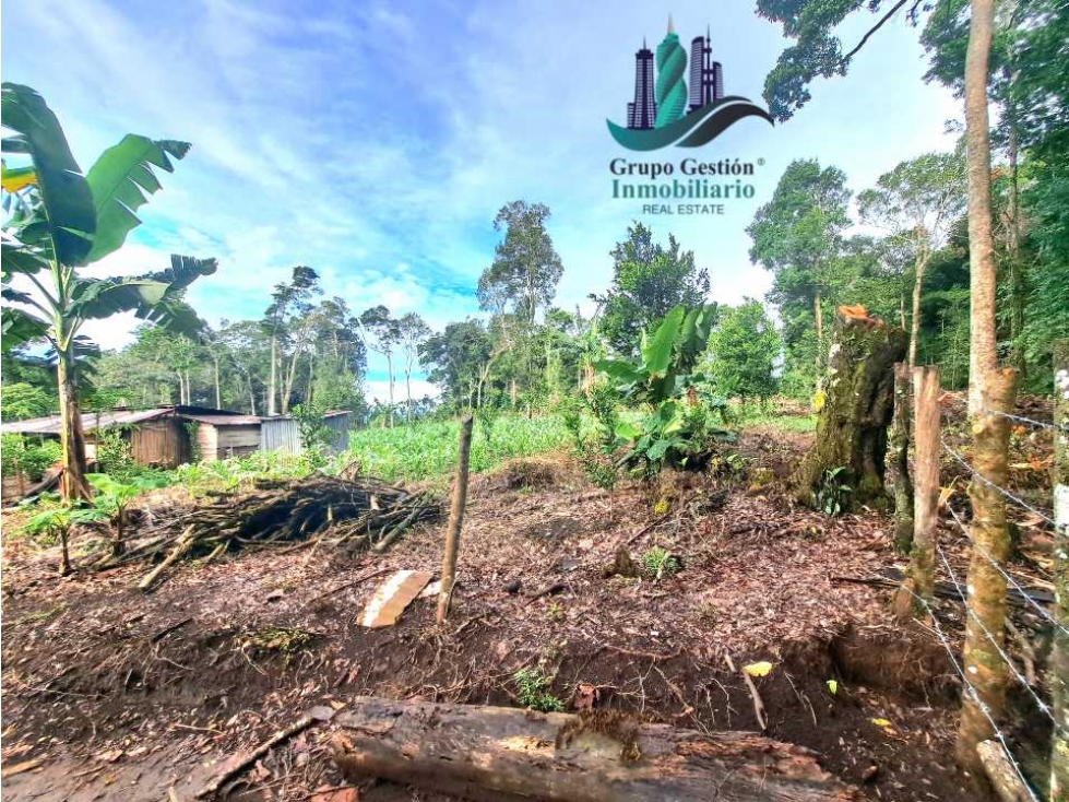 POTRERILLO ARRIBA, INCREÍBLE FINCA EN VENTA - 2