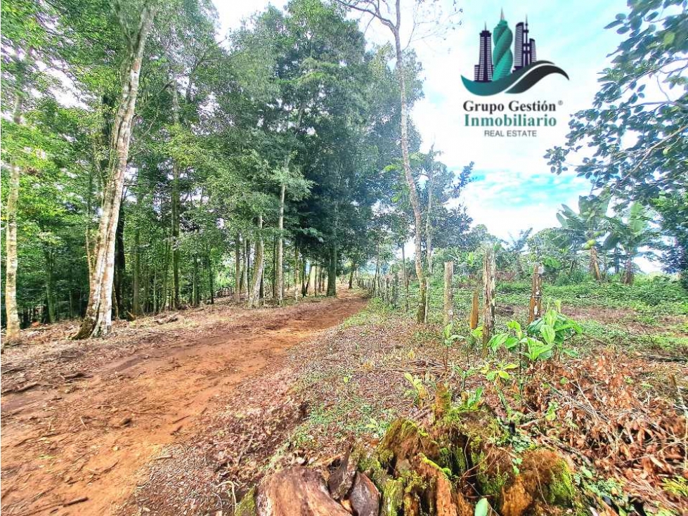 POTRERILLO ARRIBA, INCREÍBLE FINCA EN VENTA - 3