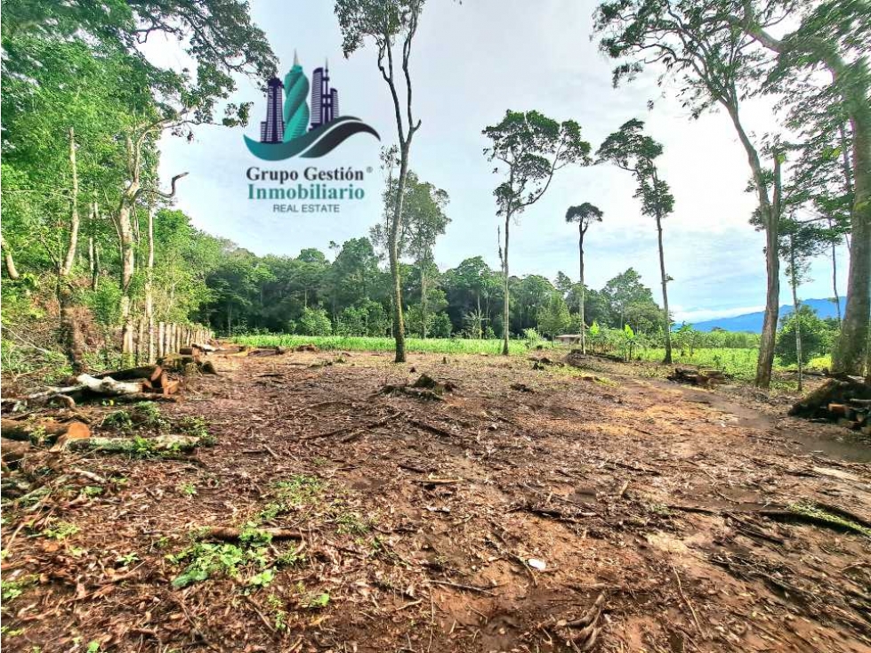 POTRERILLO ARRIBA, INCREÍBLE FINCA EN VENTA - 4