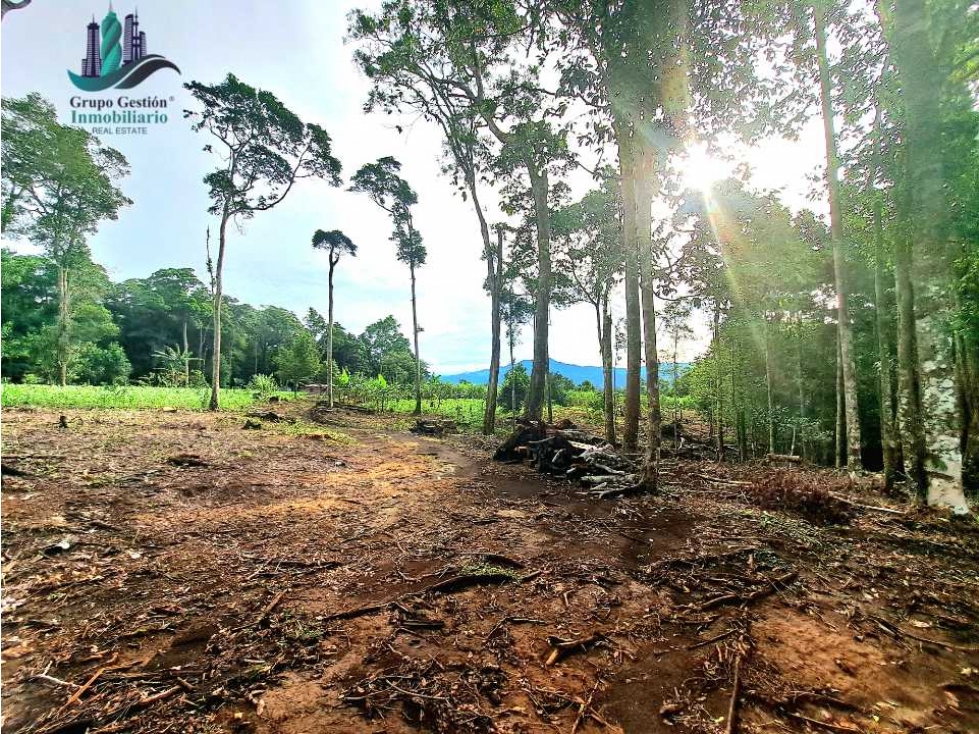 POTRERILLO ARRIBA, INCREÍBLE FINCA EN VENTA - 5