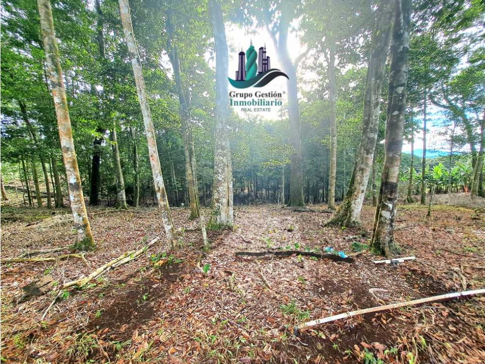 POTRERILLO ARRIBA, INCREÍBLE FINCA EN VENTA - 6