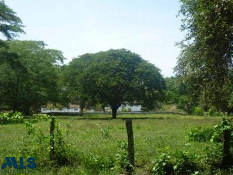 Precio de oportunidad-terreno!(MLS#234626) - 2