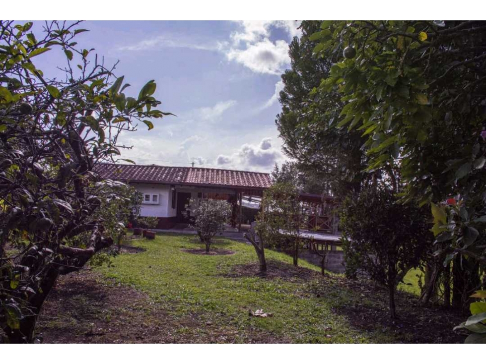 PRECIOSA CASA FINCA EN VENTA EN EL CARMEN DE VIBORAL - CAMPO ALEGRE — foto 3