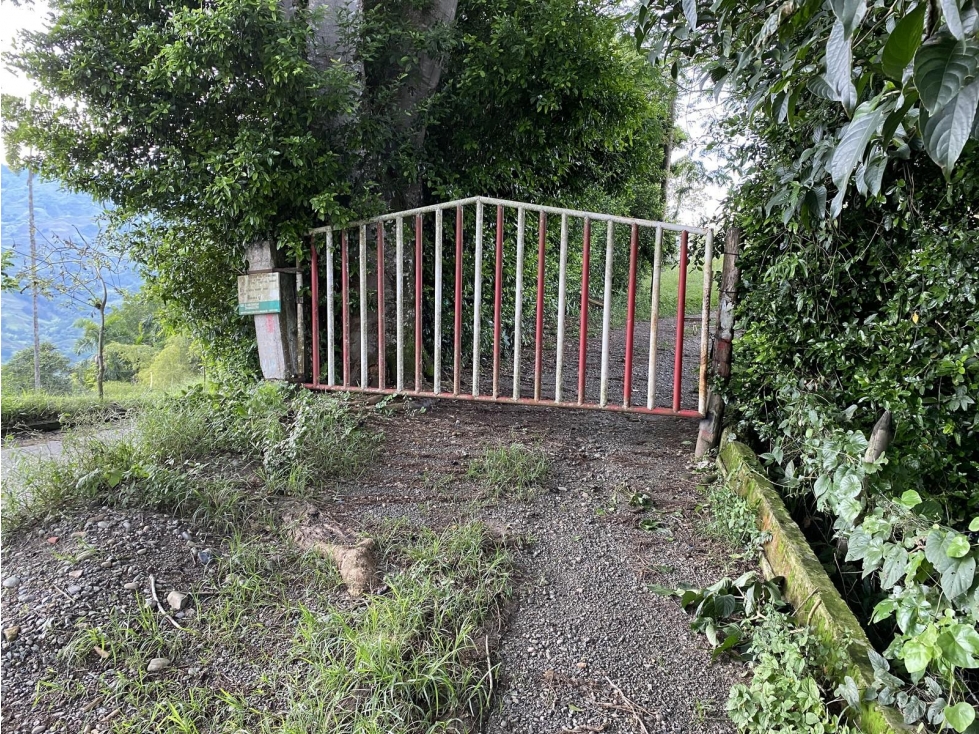 PREDIO EL CONSUELO — foto 2