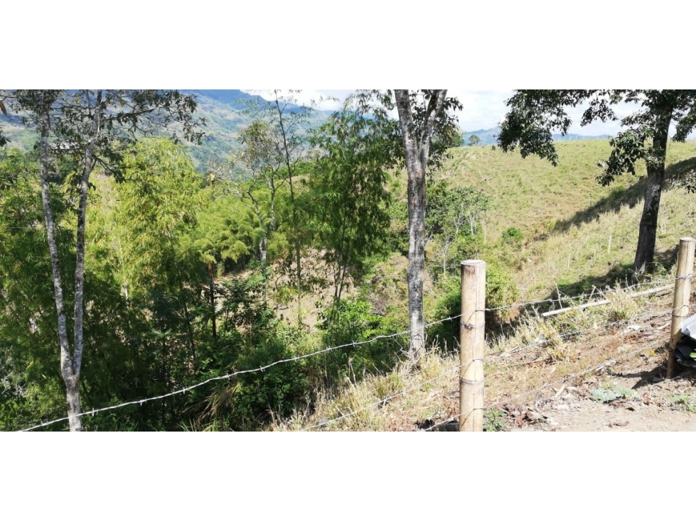 PREDIO LA HELVA O LA HELDA — foto 2