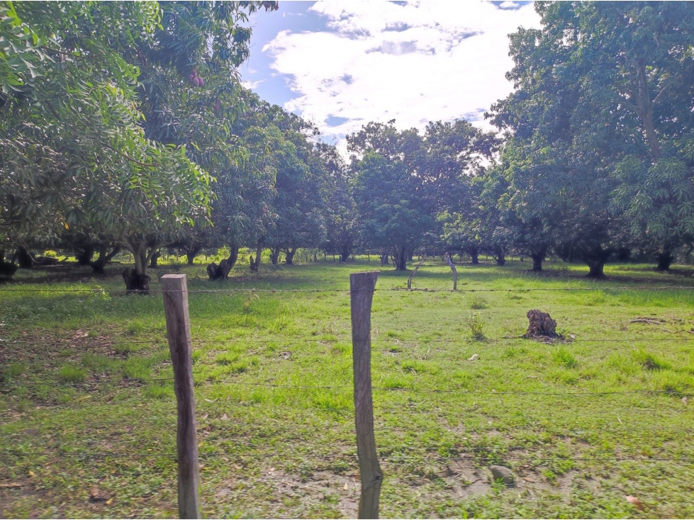 PREDIO RURAL DENOMINADO LOTE DE TERRENO NO. 2 - 1