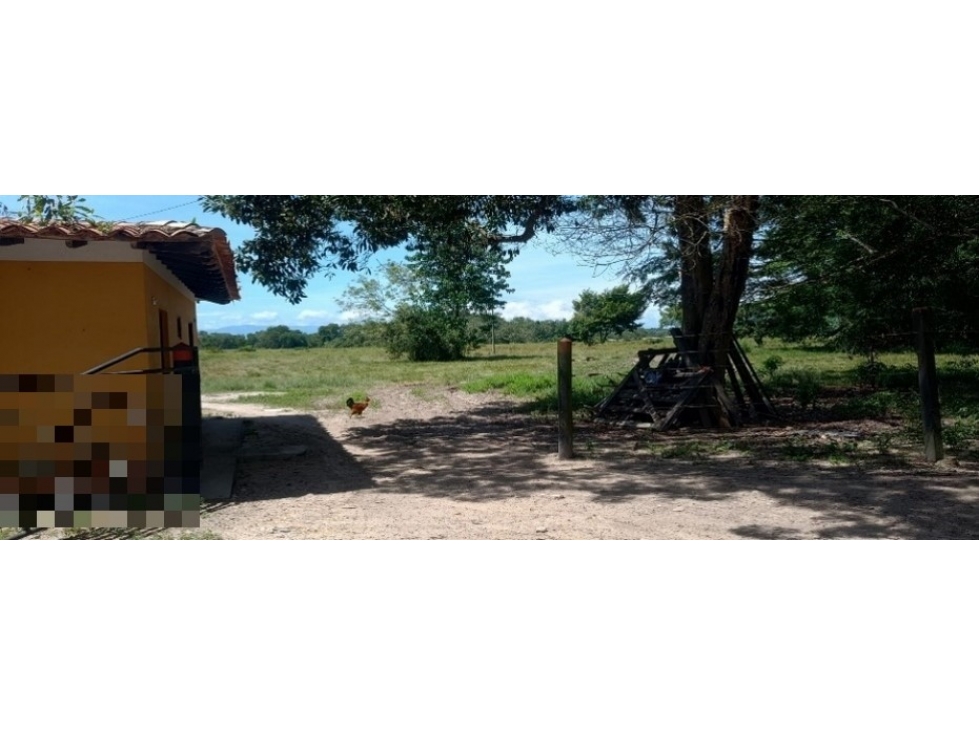 PREDIO RURAL EL PORVENIR VDA EL CRUCE LA OLINDA HACE PARTE DE HACIEND - 3