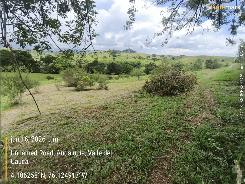 PREDIO RURAL LLANO GRANDE - 4