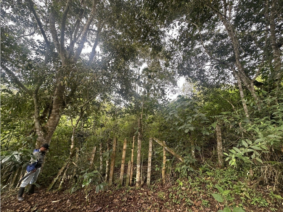 PREDIO RURAL UBICADO EN LA VEREDA DE BORRERO AYERBE DEL MUNICIPIO DE