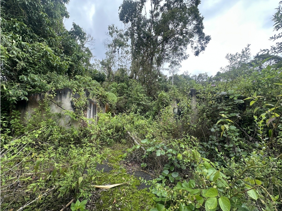 PREDIO RURAL UBICADO EN LA VEREDA DE BORRERO AYERBE DEL MUNICIPIO DE — foto 2