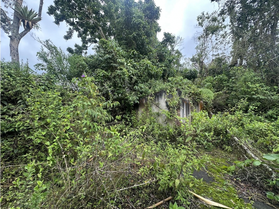 PREDIO RURAL UBICADO EN LA VEREDA DE BORRERO AYERBE DEL MUNICIPIO DE — foto 3