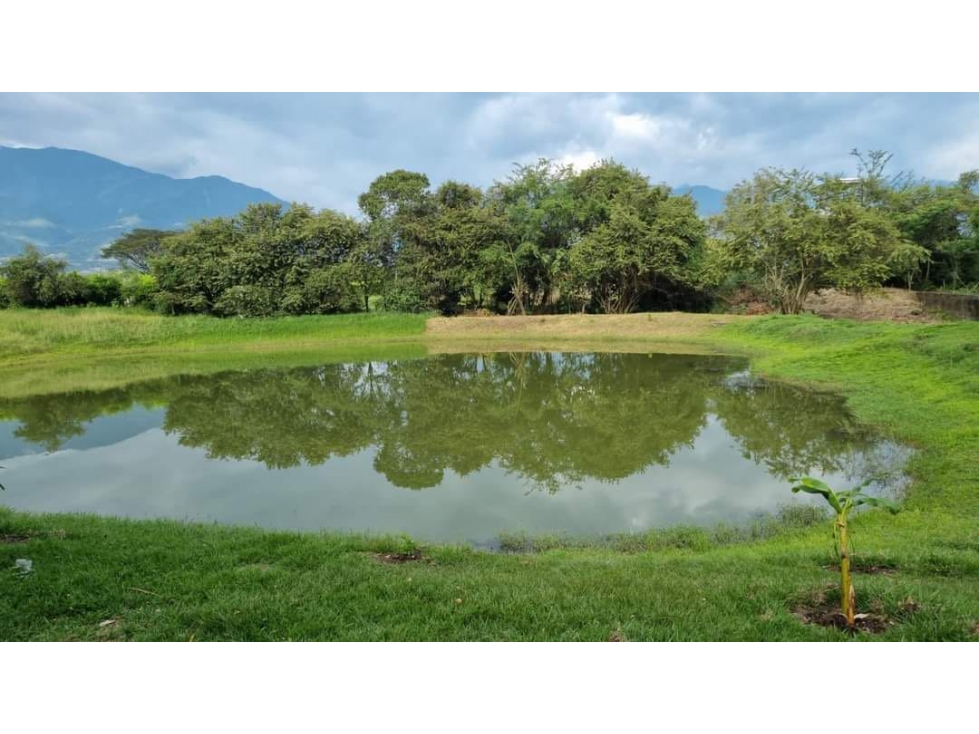 Propiedad de 64.000m2 en venta Santa Elena El Cerrito Valle Colombia - 2