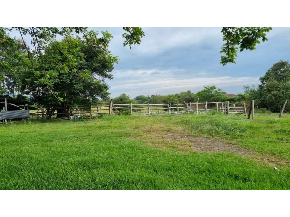 Propiedad de 64.000m2 en venta Santa Elena El Cerrito Valle Colombia - 4