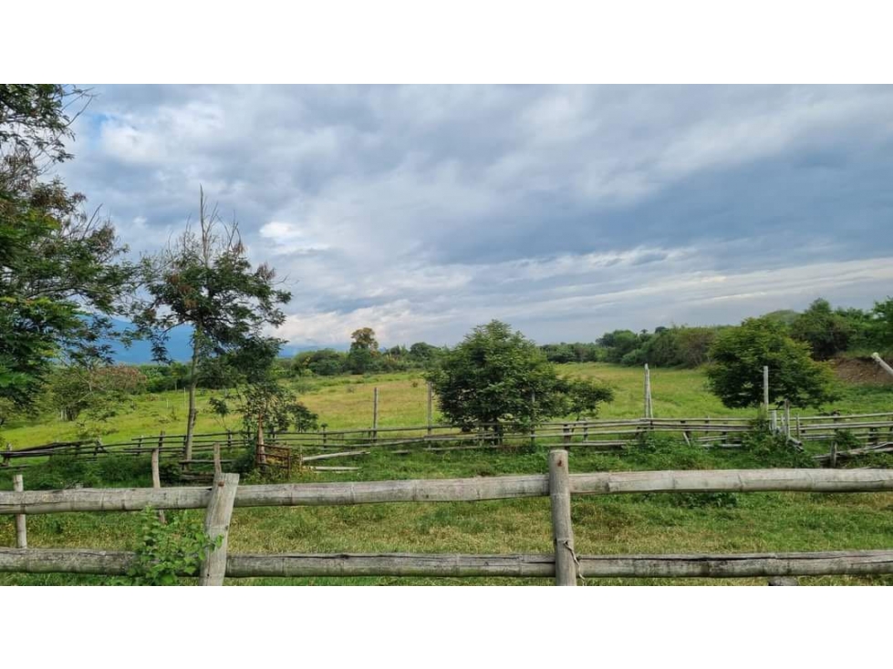 Propiedad de 64.000m2 en venta Santa Elena El Cerrito Valle Colombia - 6