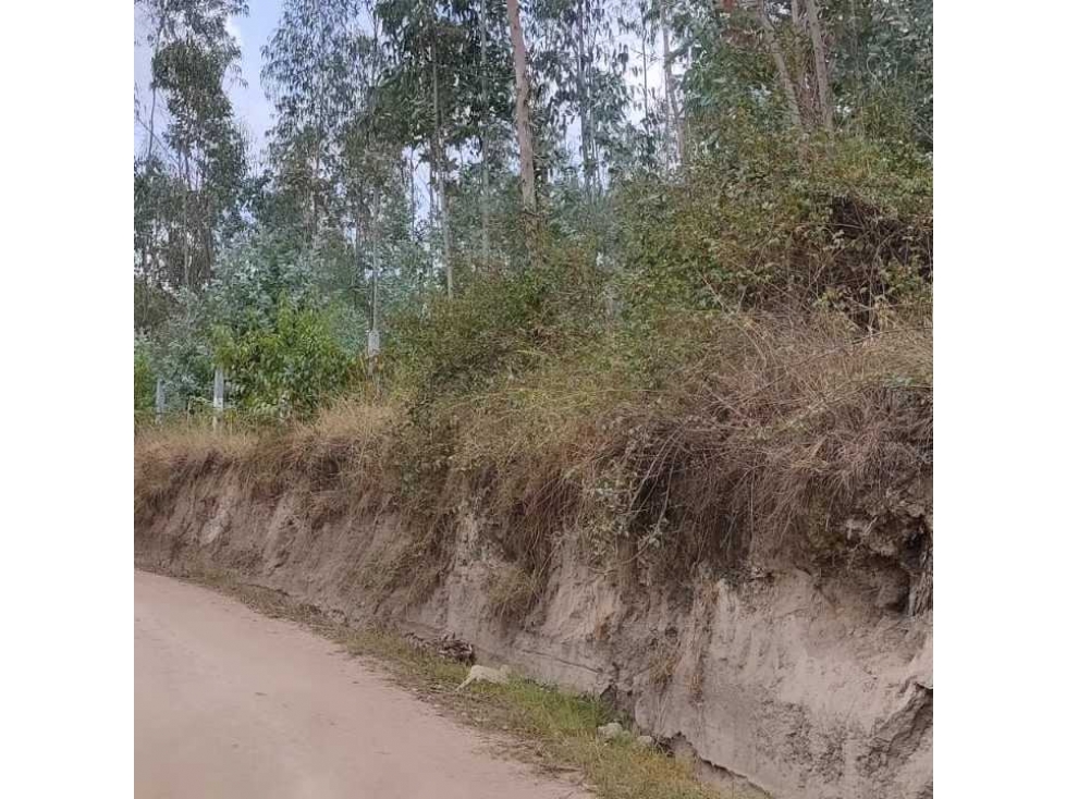 Propiedad en Venta 7000m2 y construcciones en Otavalo - 5