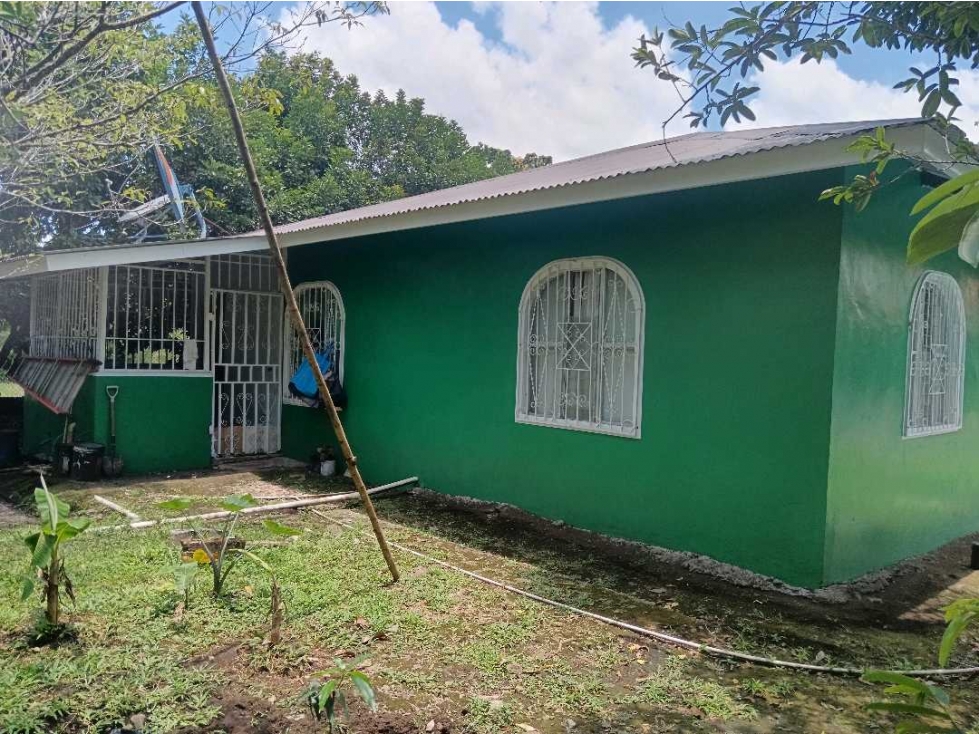VENDO PROPIEDAD EN PASO CANOAS CON LOTE Y CASAS — foto 6