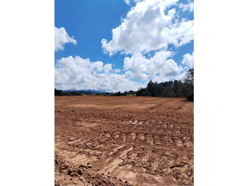 Proyecto campestre Campo Real - 6