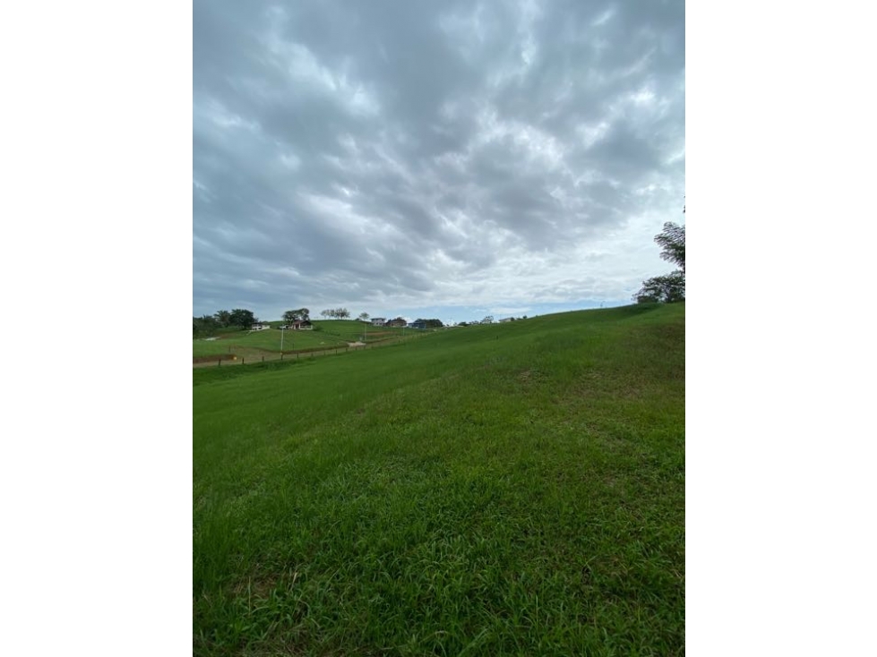 Proyecto Campestre -Lotes de Terreno - 6