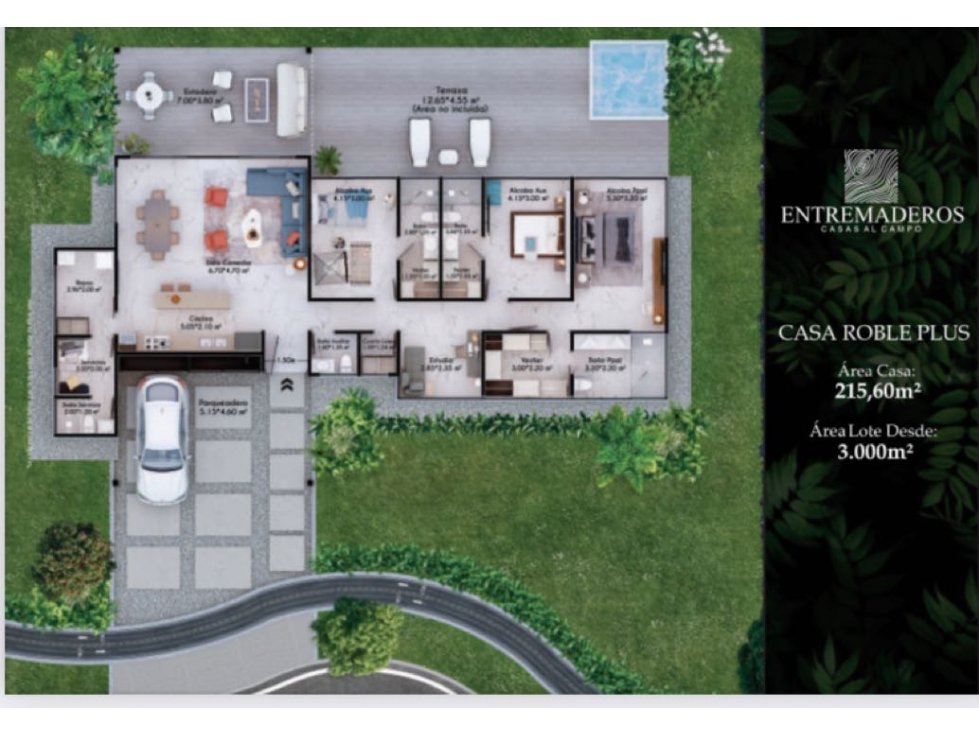 Proyecto Casas campestres entre maderos, Circasia Quindio — foto 6