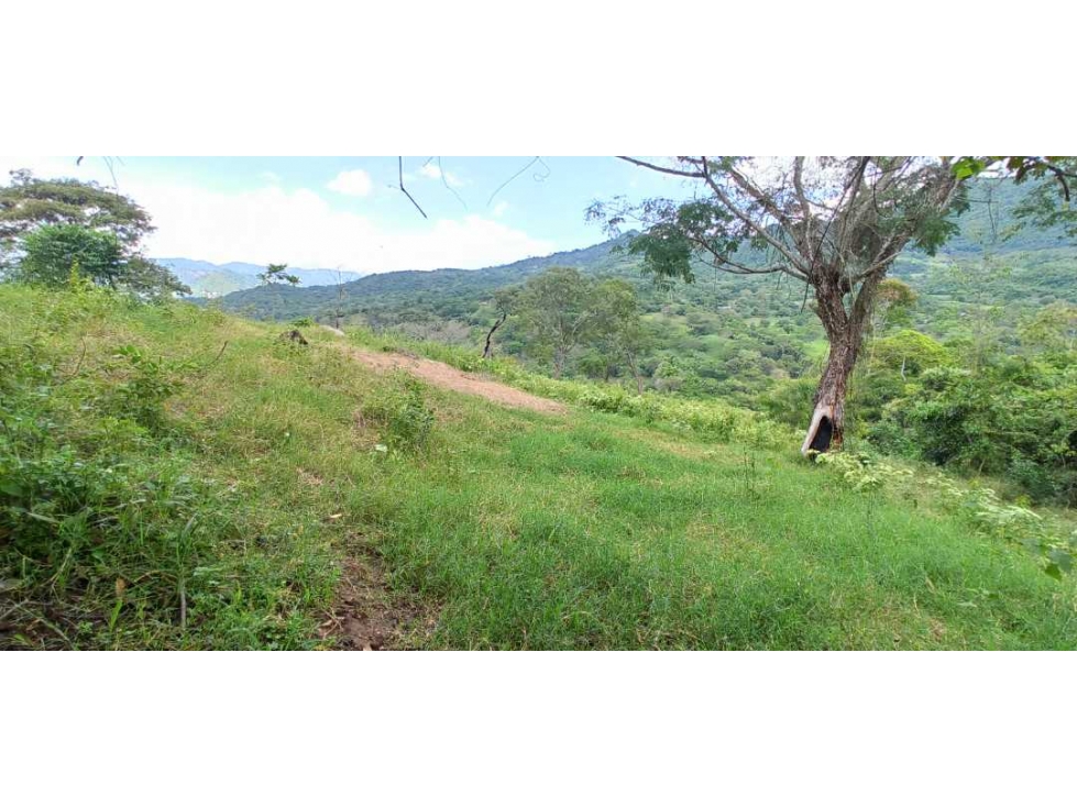 Proyecto De Lotes De 2000 M² En La Mesa Cundi - 1