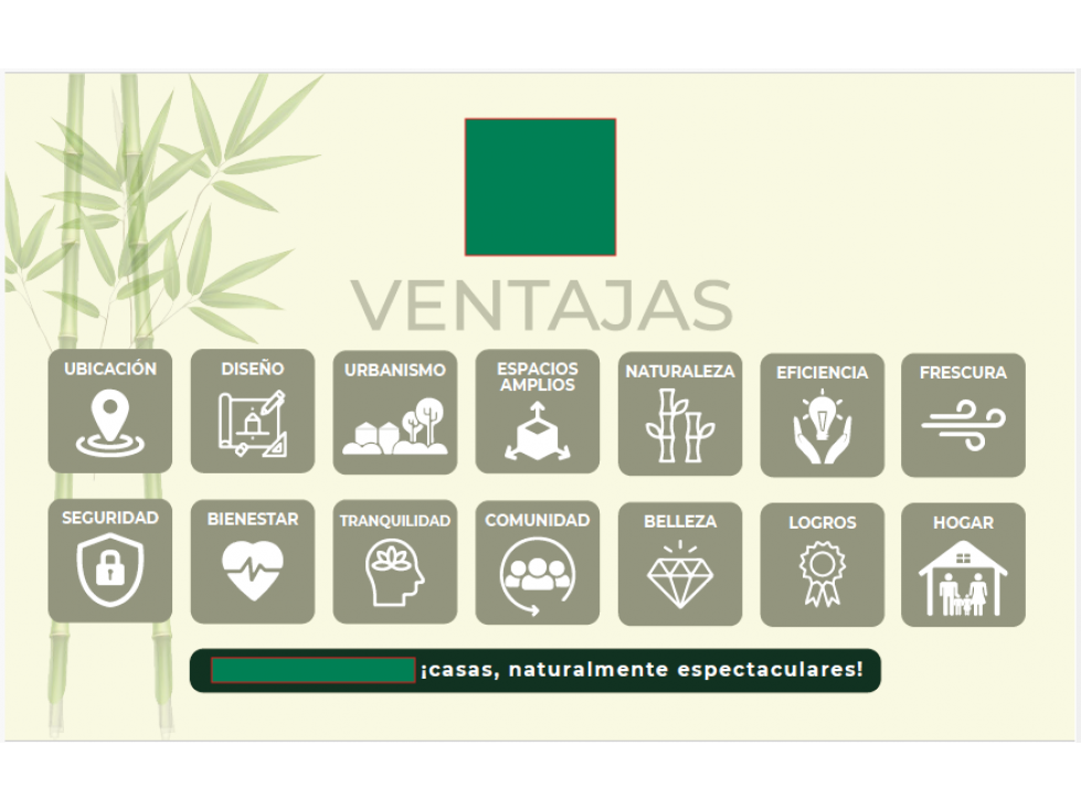 PROYECTO SOBRE PLANOS, CASAS EN EL TIGRE CERRITOS PEREIRA