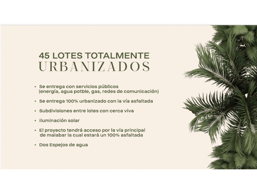 PROYECTO SOBRE PLANOS DE LOTES CAMPESTRES EN CERRITOS PEREIRA