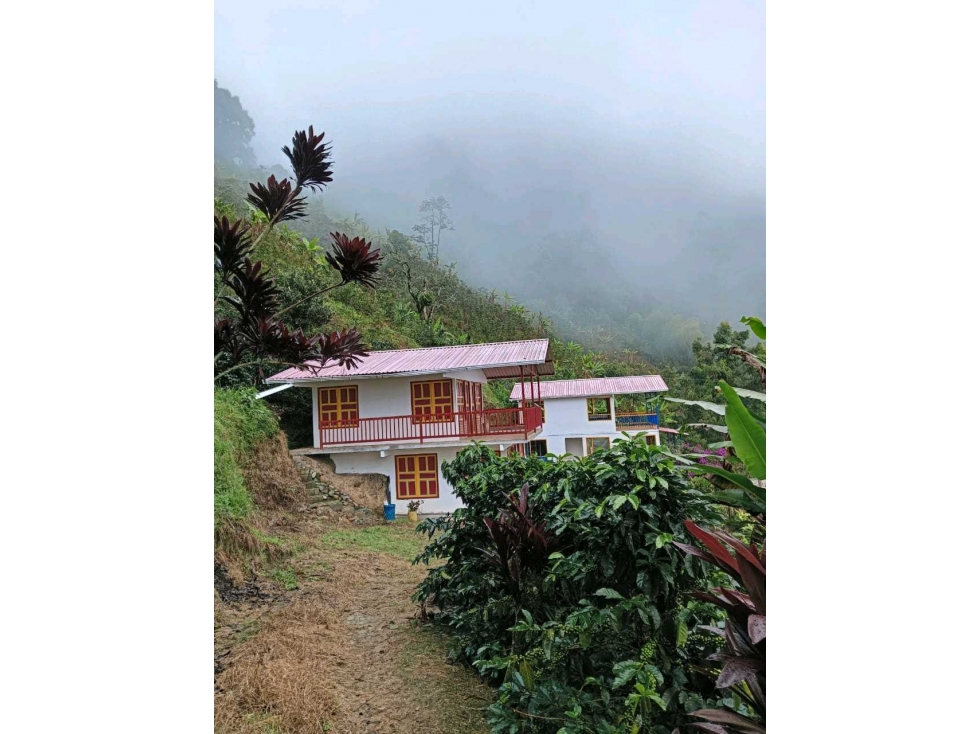 PROYECTO TURÍSTICO EN VENTA GÉNOVA, QUINDÍO - 4