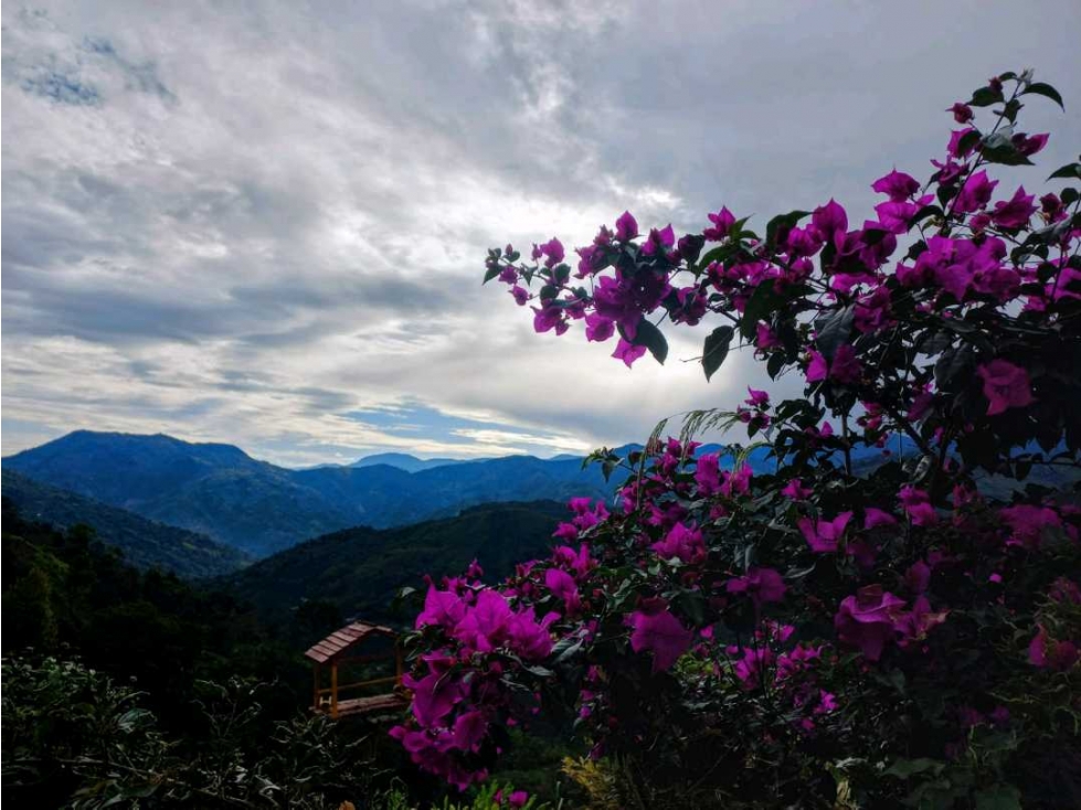 PROYECTO TURÍSTICO EN VENTA GÉNOVA, QUINDÍO - 5