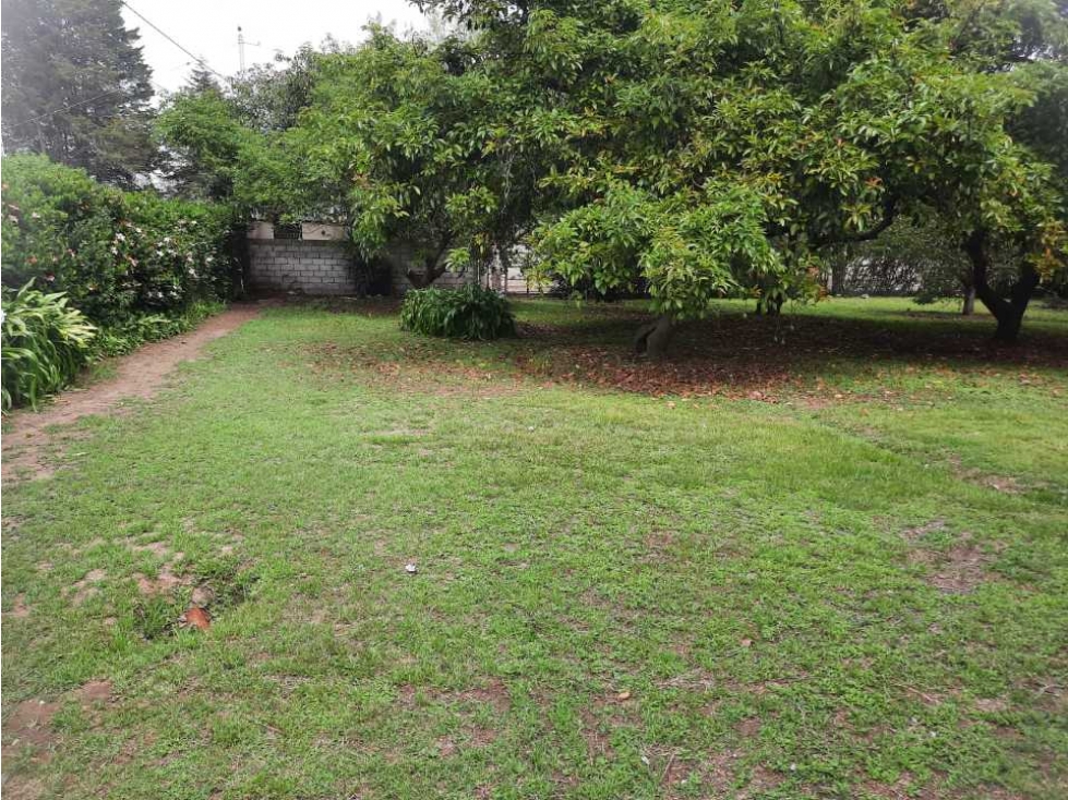 Terreno de Venta Puembo Sector Club de Polo