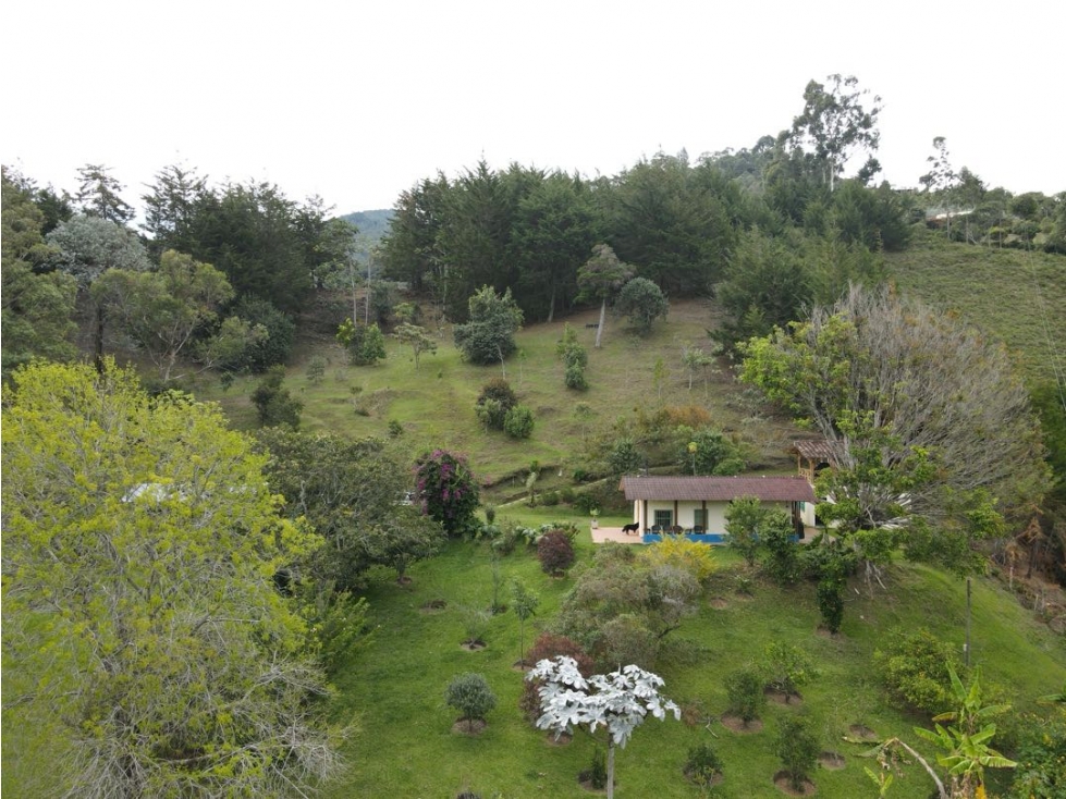 Vereda La Luz, El Retiro — foto 3