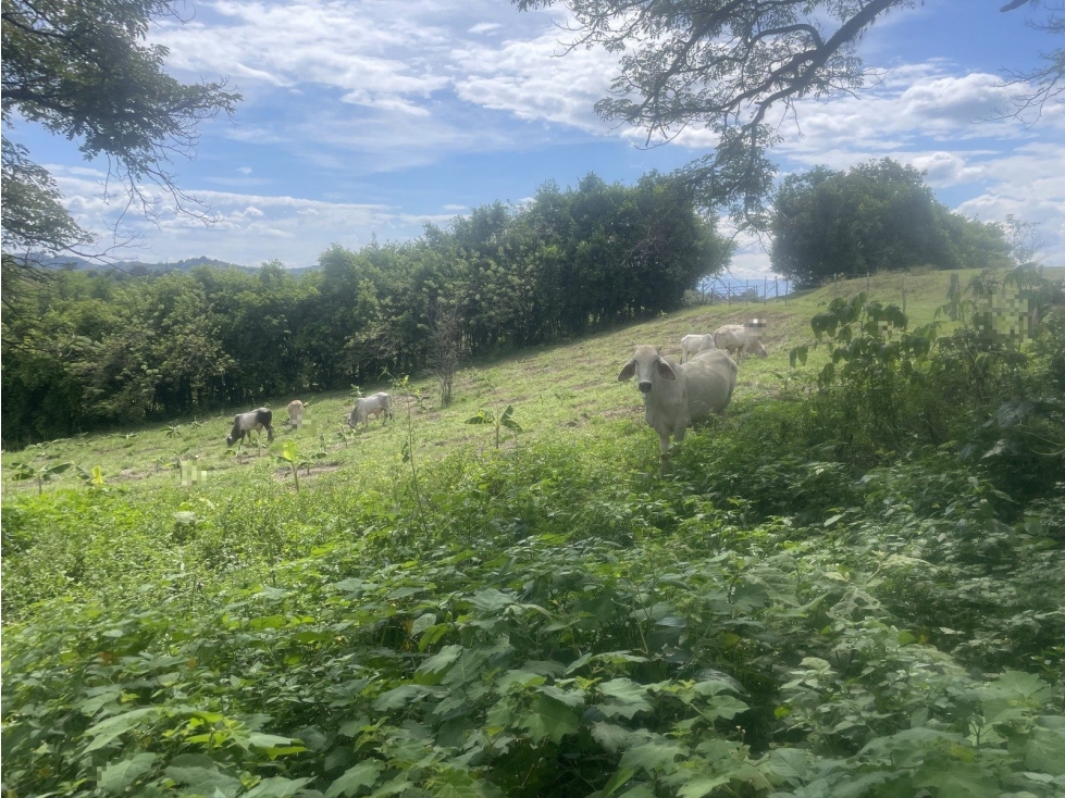 PUERTO RICO - 1