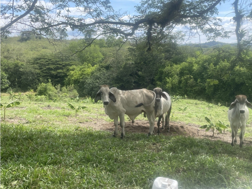 PUERTO RICO - 2