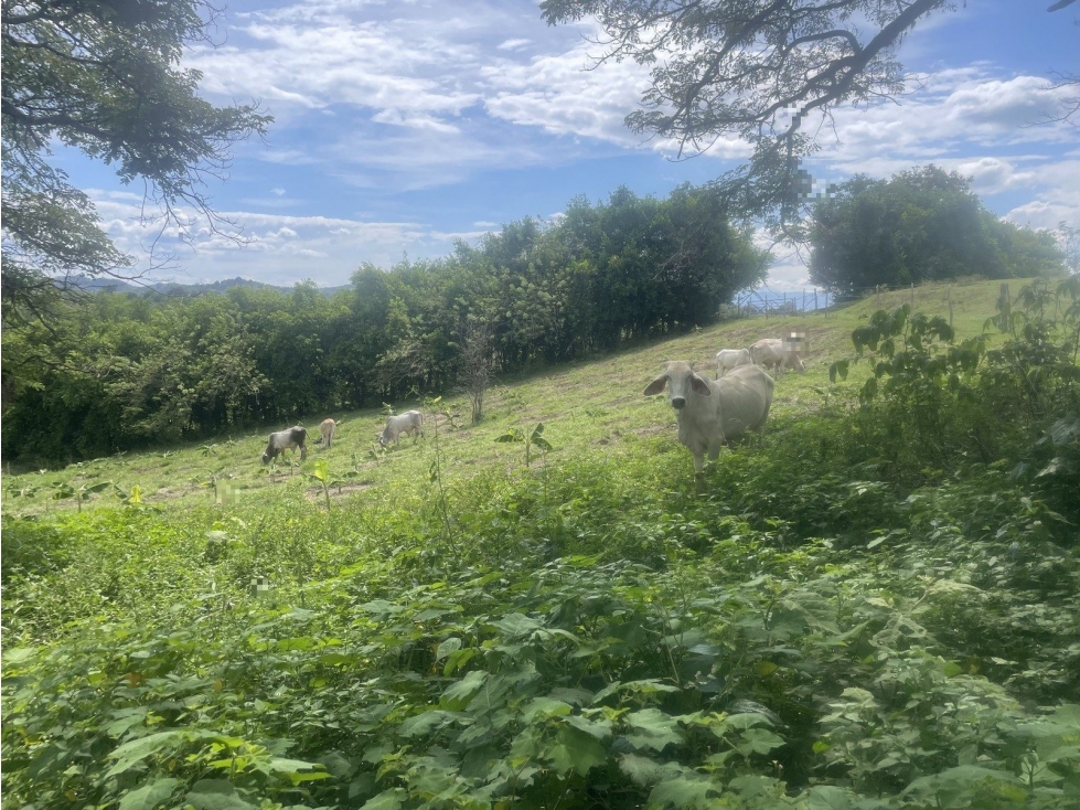 PUERTO RICO - 3