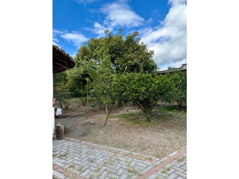 QUINTA EN RENTA EN GUAYLLABAMBA IDEAL PARA CENTRO DE REAHBILITACION — foto 3