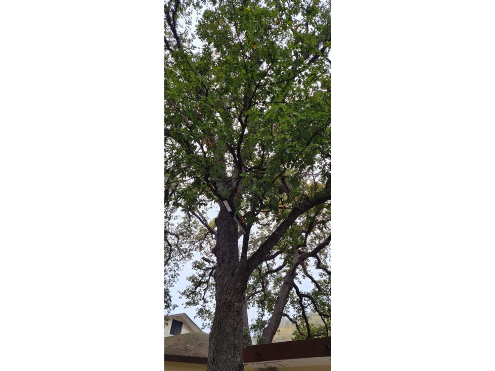 Quinta en venta en Campestre el Barro en Santiago - 3