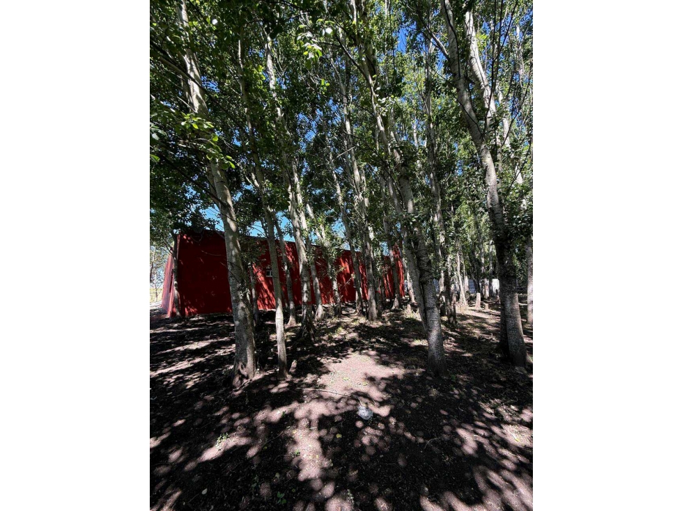 Venta QUINTA, 4 Habitaciones, Base Aérea, TANDIL - 3