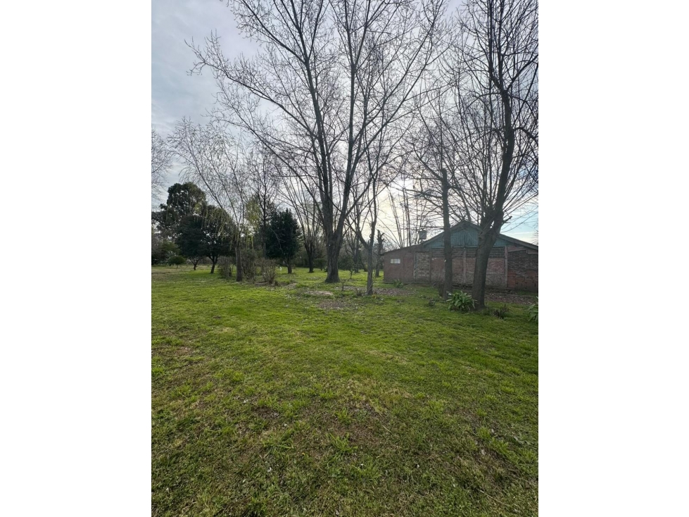 QUINTA VENTA 2737MT2 MORENO - 2