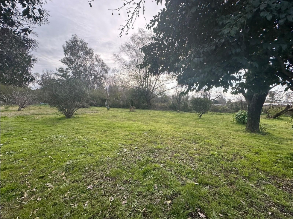 QUINTA VENTA 2737MT2 MORENO - 4