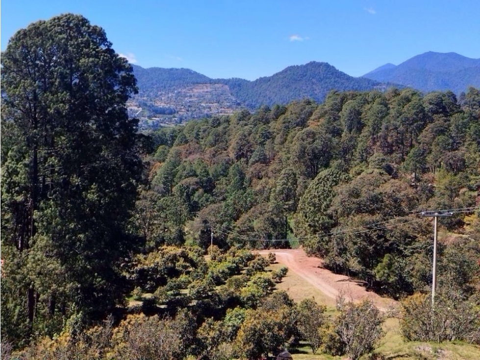 RANCHO CON MANANTIAL | DONATO GUERRA - 4